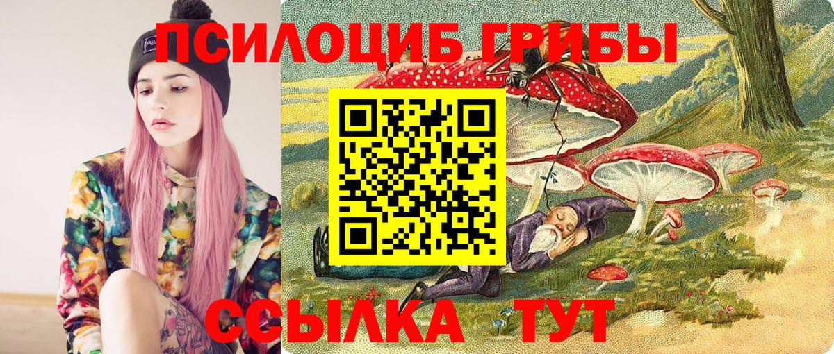 Псилоцибиновые грибы Cubensis Лангепас
